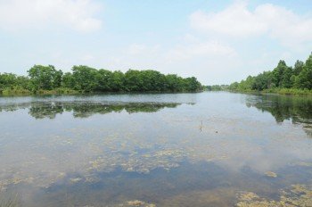 Property photo 13 - 1,025 Acres in 24 Tracts - Exellent Recreation Opportunity - Potential Building Sites - 11 Lakes & Ponds